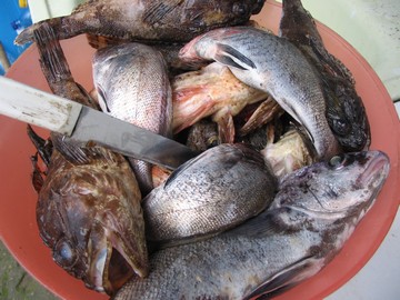 Удачная рыбалка в Магри